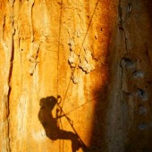 will carrolls shadow